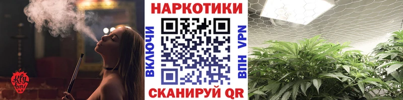 Купить наркотики сайты Грайворон ссылка на мегу ТОР  Метамфетамин  APVP  COCAIN  АМФ 