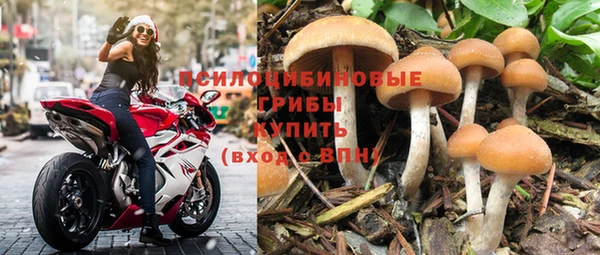 амф Алексин