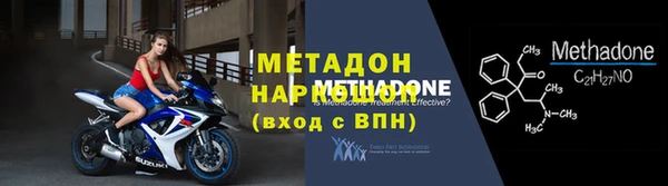 стаф Алзамай
