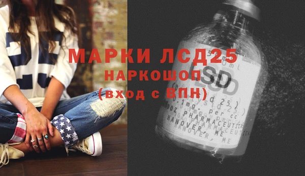стаф Алзамай