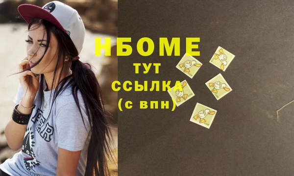 стаф Алзамай