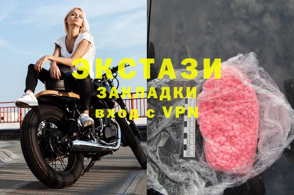 стаф Алзамай