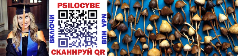 Псилоцибиновые грибы MAGIC MUSHROOMS  Грайворон 